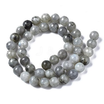 Natural Labradorite Round Beads Strands G-S158-8mm-1