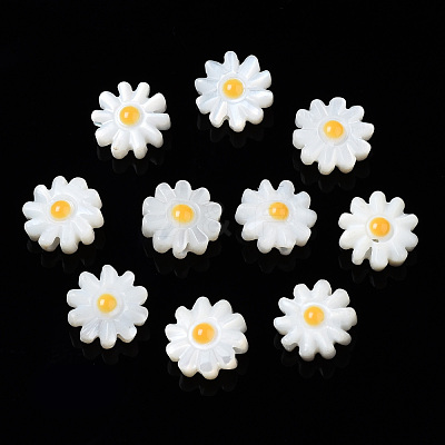 Natural Freshwater Shell Beads SHEL-N003-20B-01-1