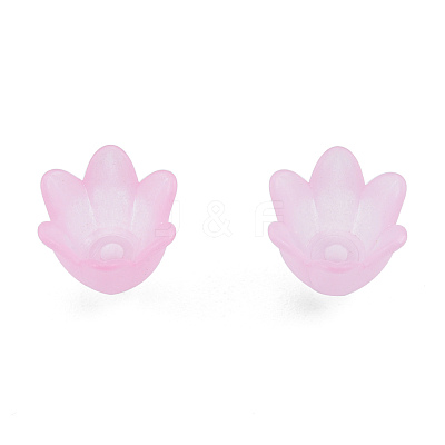 Opaque & Transparent Acrylic Beads MACR-T045-01C-1