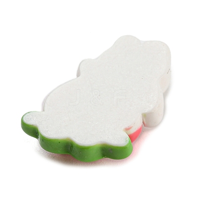 Opaque Resin Cabochons CRES-P026-C02-1