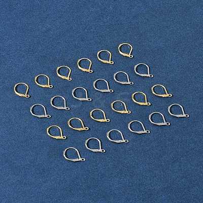 40Pcs 2 Colors 304 Stainless Steel Leverback Earring Findings STAS-FS0001-69-1