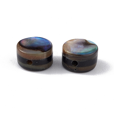 Natural Abalone Shell/Paua Shell Beads SSHEL-M021-02-1
