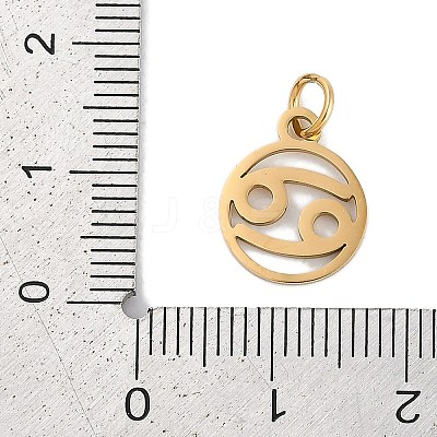 Ion Plating(IP) 304 Stainless Steel Charms STAS-R135-05G-04-1