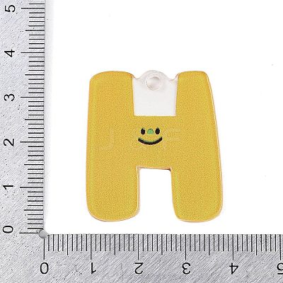 Acrylic Pendants LS-MACR-R002-01H-1