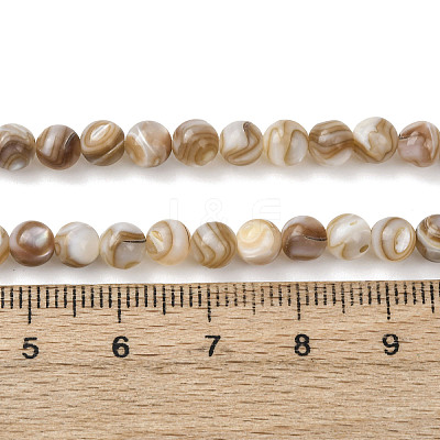Natural Freshwater Shell Beads Strands SHEL-K006-71B-1