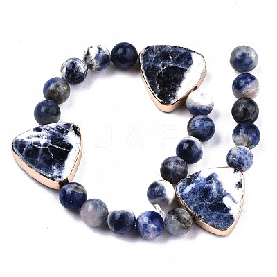 Natural Sodalite Beads Strands G-T131-64-1
