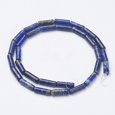 Natural Lapis Lazuli Beads Strands G-G968-F04-1