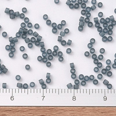 MIYUKI Delica Beads X-SEED-J020-DB0387-1