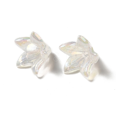 Transparent Acrylic Bead Caps LS-X-OACR-H016-03-1