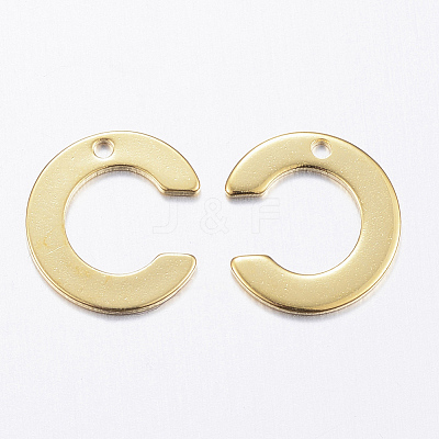 304 Stainless Steel Charms X-STAS-P141-C-1