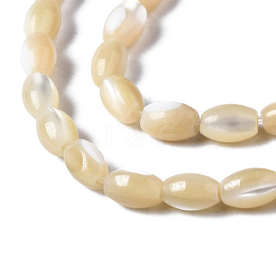 Natural Trochid Shell/Trochus Shell Beads Strands SSHEL-S266-021B-01-1