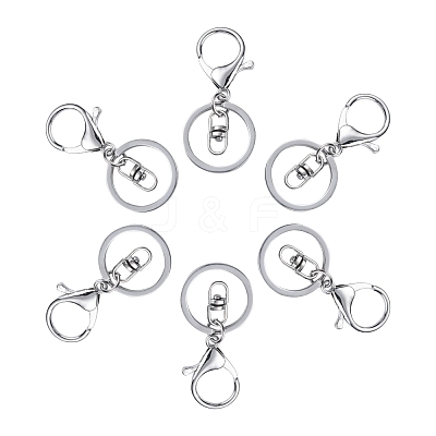 Iron Alloy Lobster Claw Clasp Keychain KEYC-D016-P-1