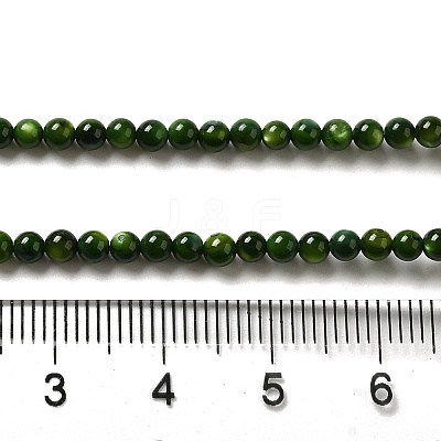 Natural Freshwater Shell Beads Strands X-SHEL-H003-03A-1