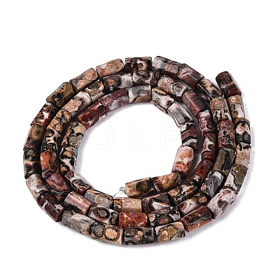 Natural Leopard Skin Jasper Beads Strands GG-N002-01A-12-1