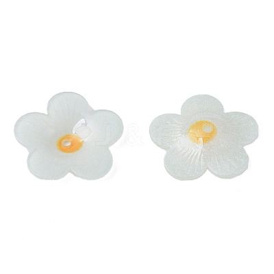 Plastic Beads KY-N015-173-1