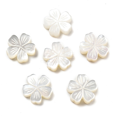 Natural White Shell Carved Beads SSHEL-Z002-02A-1