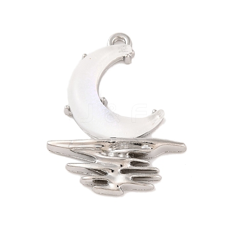 Alloy & Resin Pendants FIND-G081-01E-P-1