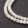 Natural White Shell Beads Strands X-G-G680-54-3