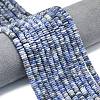 Frosted Natural Blue Spot Jasper Beads Strands G-K389-C05-01A-1