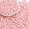 Baking Paint Glass Seed Beads X1-SEED-K010-A25-1