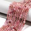 Natural Strawberry Quartz Beads Strands G-G161-A10-03-2