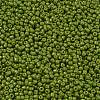 Baking Paint Glass Seed Beads SEED-S001-K9-2
