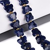 Natural Sodalite Beads Strands G-N371-10A-03-1