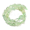 Natural Prehnite Beads Strands G-K395-B08-01-3