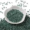 Baking Paint Glass Seed Beads SEED-S042-15A-15-2