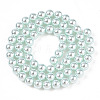 Glass Pearl Beads Strands HY-G002-01C-12-5