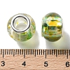 High Transparent Two-Color Copper Buckle Acrylic European Beads OACR-M024-05P-04-3