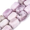 Natural Kunzite Beads Strands G-N362-07A-08-2
