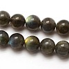 Grade AA Natural Gemstone Labradorite Round Beads Strands G-E251-33-6mm-2