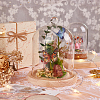Glass Dome Cover DIY-WH0504-317A-5
