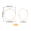 40Pcs Ion Plating(IP) 316 Stainless Steel Hoop Earrings Findings STAS-DC0003-91-3