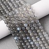 Natural Labradorite Round Bead Strands G-M263-B-03-2