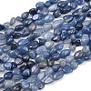 Natural Blue Aventurine Beads Strands G-K395-B03-02-2