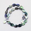 Natural Paua Shell Beads Strands SSHEL-J047-14B-01-2