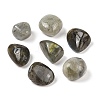 Natural Labradorite Beads G-Z062-04-1