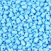 Baking Paint Glass Seed Beads SEED-N007-30A-3