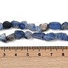 Natural Kyanite Beads Strands G-Q060-D17-5