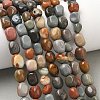 Natural Alashan Agate Beads Strands G-C286-A10-1