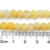 Natural Crackle Agate Beads Strands X-G-G055-6mm-6-2