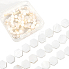 2 Strands Natural Freshwater Shell Beads Strands SSHEL-SC0001-36A-1
