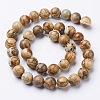 Natural Gemstone Beads Strands X-GSR10mmC016-3