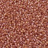 MIYUKI Delica Beads Small X-SEED-J020-DBS0866-3