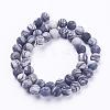 Natural Black Silk Stone/Netstone Beads Strands G-F520-57-6mm-2