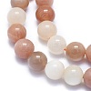Natural Sunstone Beads Strands G-K310-C08-10mm-3