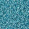 TOHO Round Seed Beads SEED-JPTR11-0023F-2