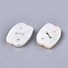 Natural White Shell Beads SSHEL-ZX004-02D-2